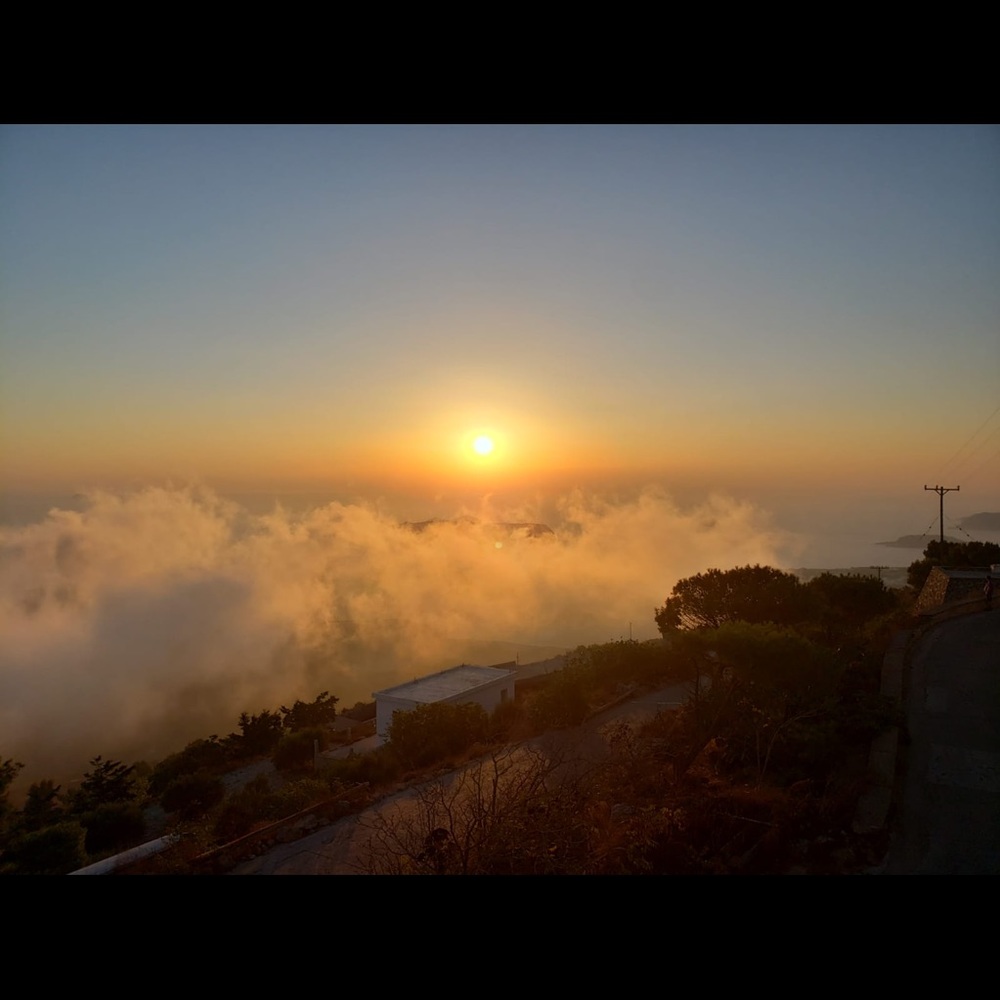 Meet your Posher, Dianne